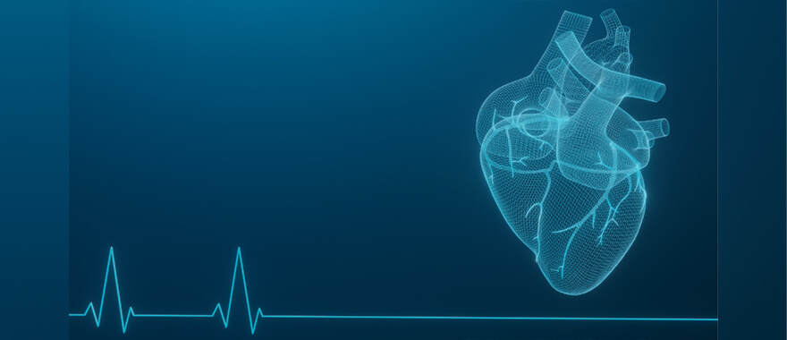 Graphic showing a heart and heart rate