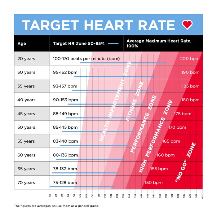 heart rate chart