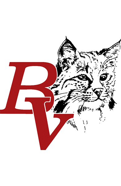 Brandon Valley HS Logo
