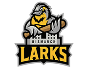 Bismarck Larks logo