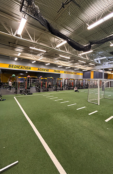 Sanford Sports Bismarck turf area