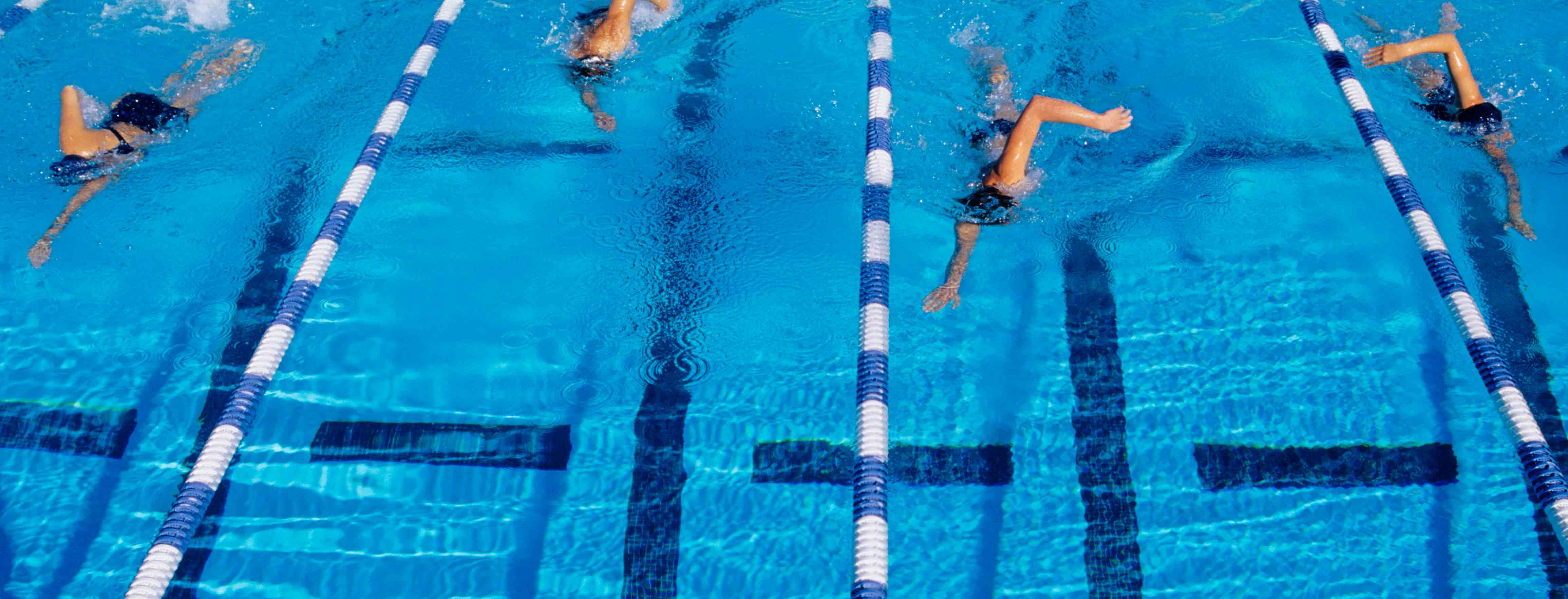 swimming lanes with swimmers racing