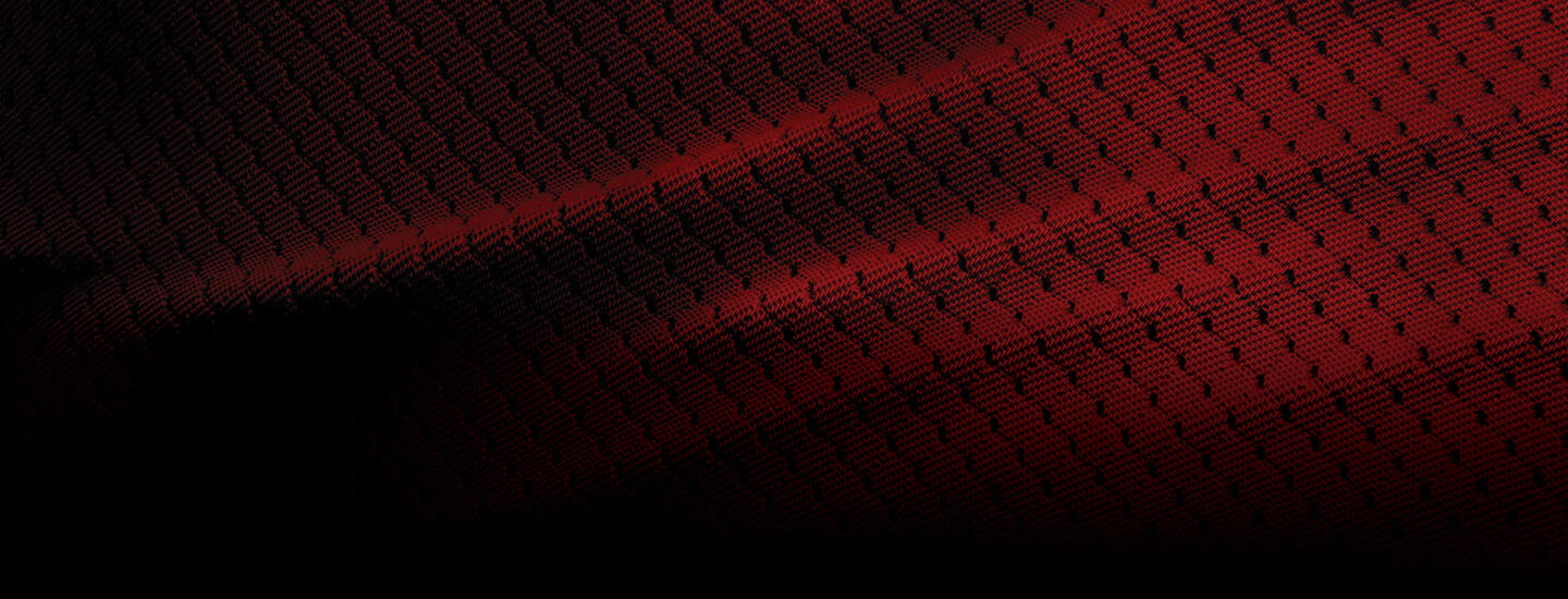 Sports net